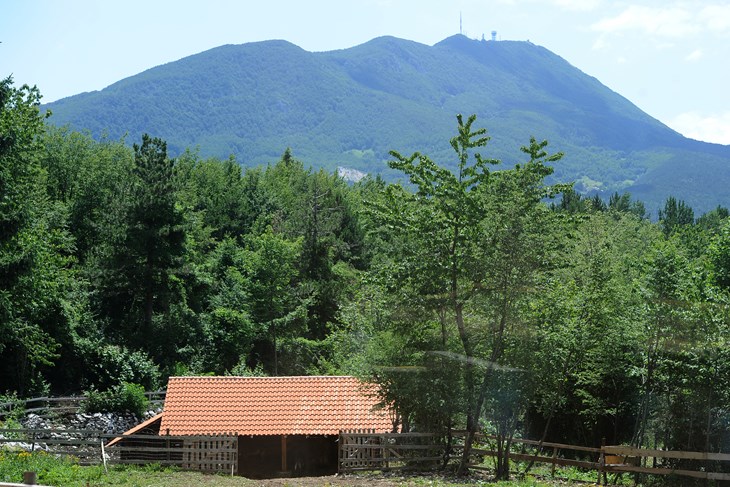 Snimio M. MIJOŠEK