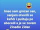 Pandemija viceva u doba korone