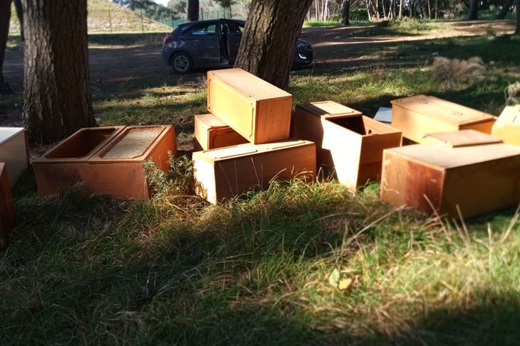 I ovo je nekoga "žuljalo" pa je brže-bolje iskipao u Šijani (Natura Histrica)