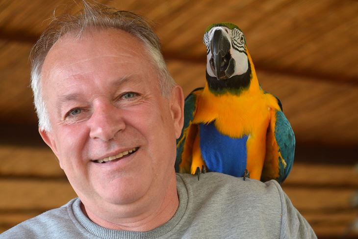Papiga donosi svom vlasniku mnoge trenutke veselja (Danilo MEMEDOVIĆ)