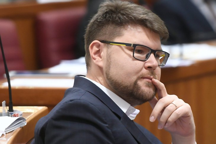 Peđa Grbin (Goran MEHKEK/CROPIX)
