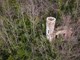 Stari dvorac podno Motovuna (Foto: Abandoned Istria)