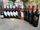 Dvanaest etiketa vinarije (Davor ŠIŠOVIĆ)