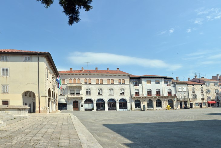 (N. LAZAREVIĆ)