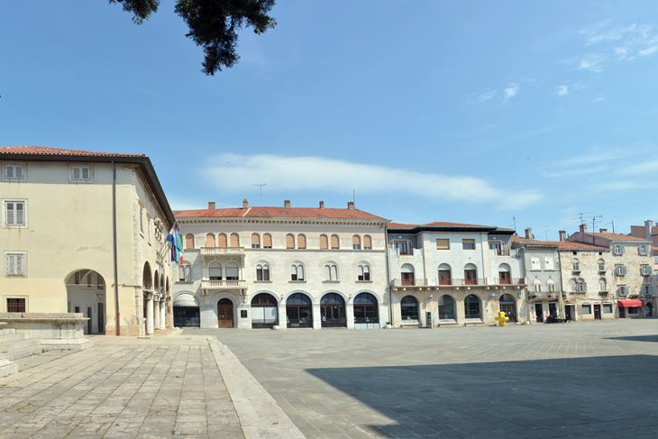 (N. LAZAREVIĆ)