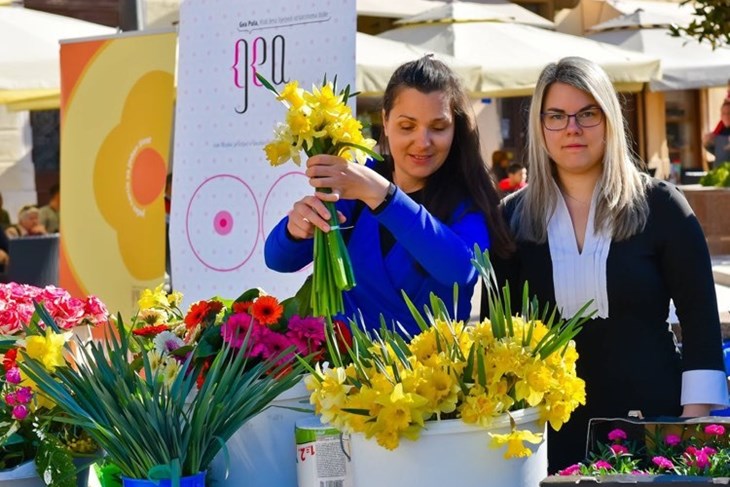 Dan narcisa ove godine nažalost nije održan zbog epidemije koronavirusa