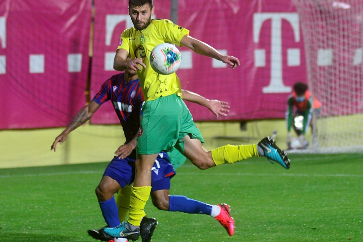 (D. ŠTIFANIĆ)