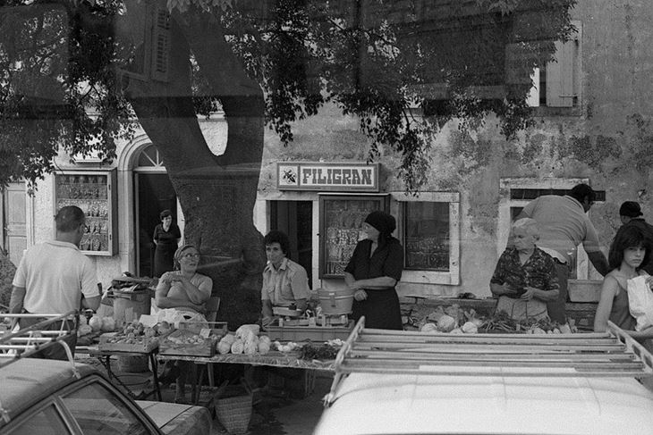 Mercat spod ladonje u Medulinu