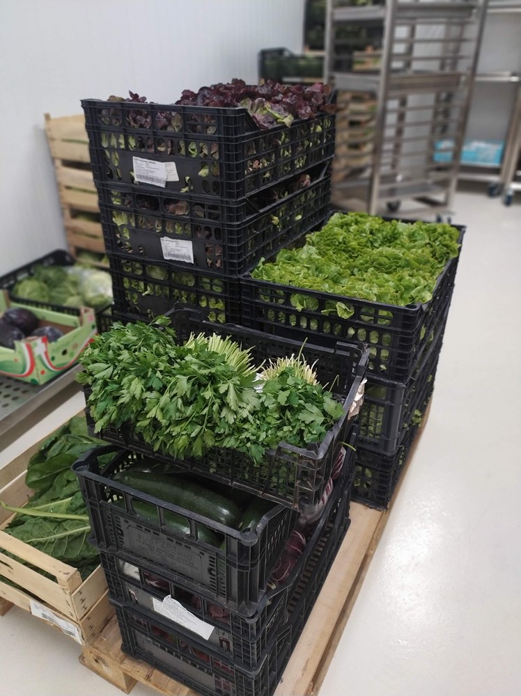 Valfresco Direkt lokalne proizvođače vina, maslinovih ulja, svježeg voća i povrća, mesa i ribe…