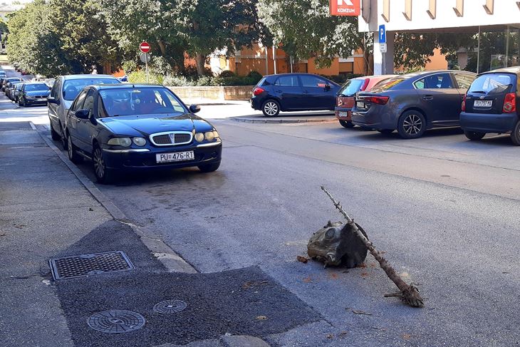 (Zvjezdan STRAHINJA)