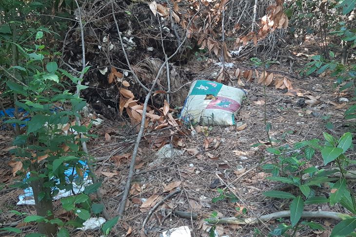 Stari jastuci za ležaj pod vedrim nebom (Z. STRAHINJA)