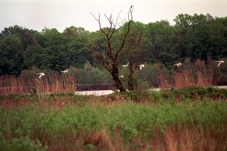 (Hina/EPA)