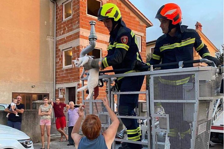 Nedjeljno spašavanje mačke na Velom Vrhu (JVP Pula)