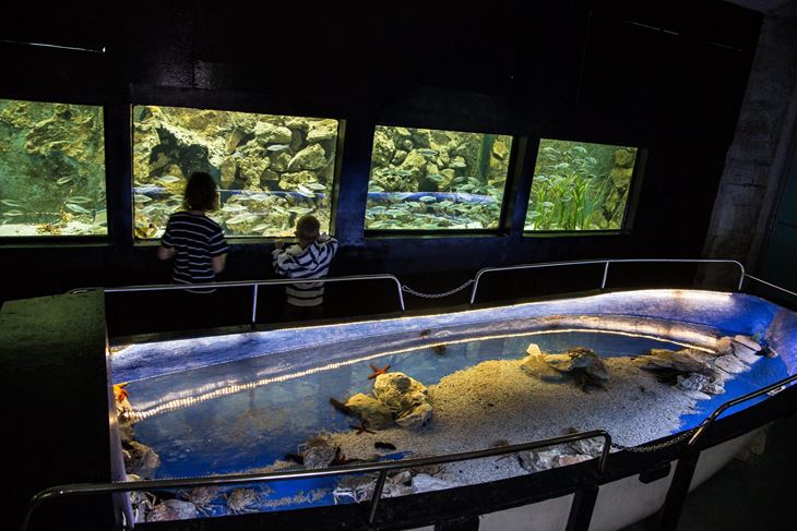 Aquarium je tijekom rujna otvoren svakodnevno od 9 do 21 sat (Danijela PERAČIĆ)