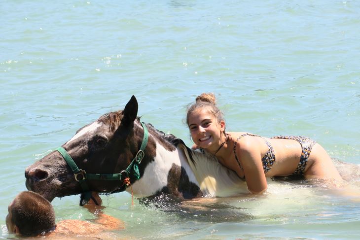 Plivanje s konjima u uvali Blaz (Jona TOMIĆ)