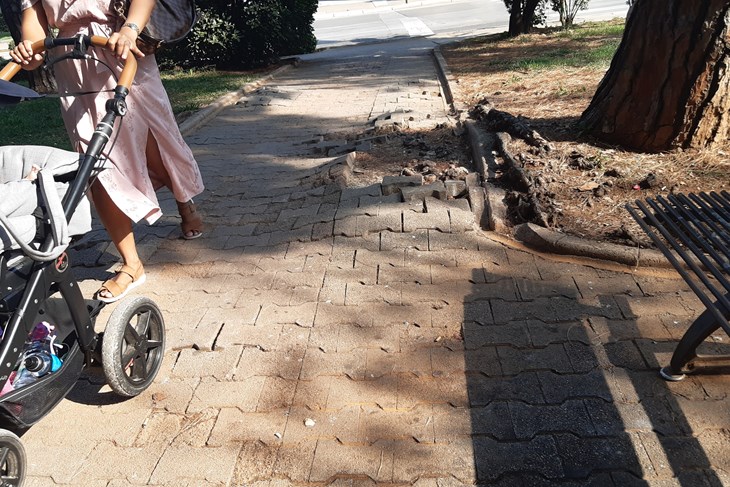 snimio Zvjezdan Strahinja
