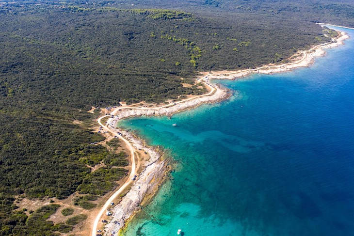 Obala Ližnjana puna je bršude i lovora koje treba zaštititi (Foto Denis Mirković)