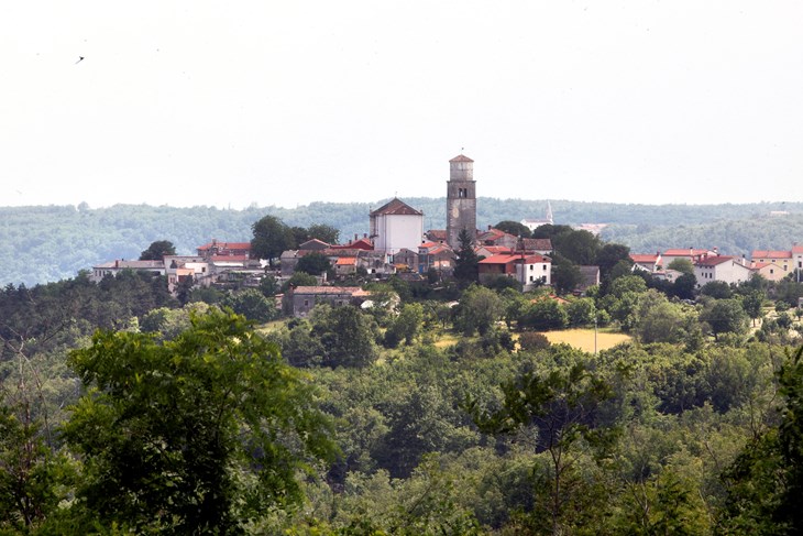 Tinjan (Srećko Niketić / Cropix)