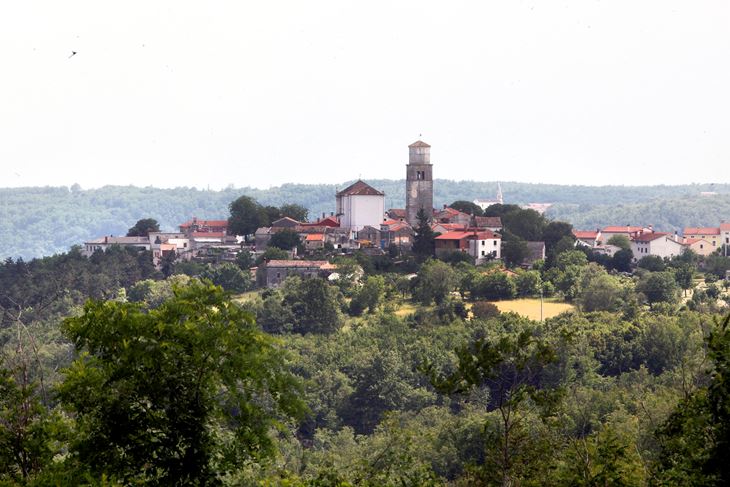 Tinjan (Srećko Niketić / Cropix)