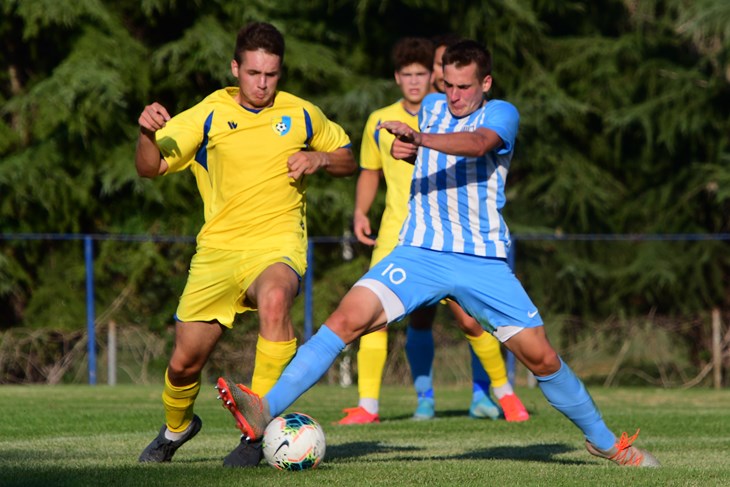 Igor Lepinjica  (Milivoj MIJOŠEK)