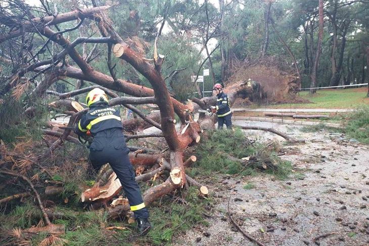 Stablo se srušilo na cestu kod restorana Sirena u Novom naselju (Foto JVP Poreč)