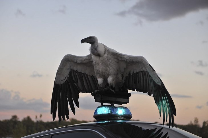 Iz filma "River of Fundament"