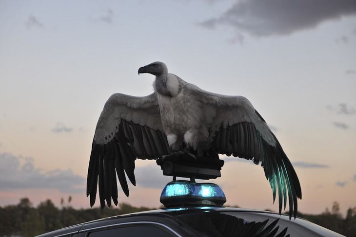 Iz filma "River of Fundament"
