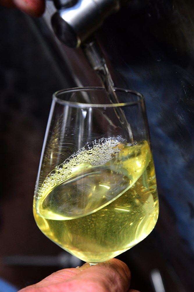 Vinarija Terzolo