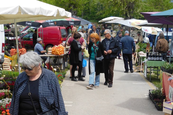 Samanj u Vodnjanu (Snimio Zvjezdan Strahinja / Arhiva)