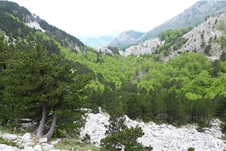 (Hina/EPA)