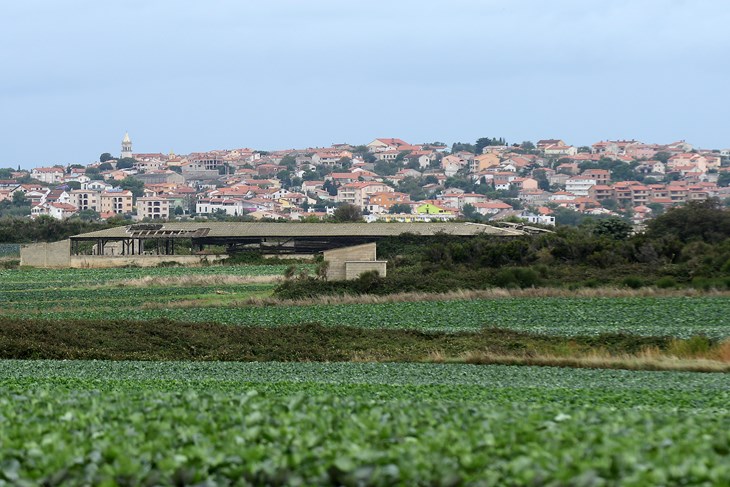 Ližnjan
