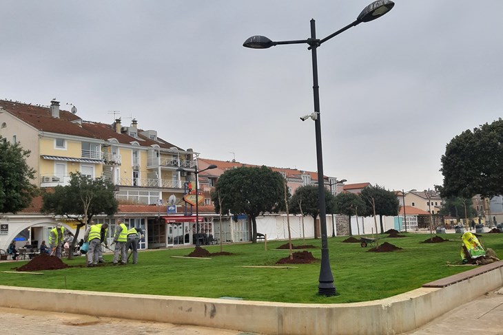 Nove sadnice u parku Humagum