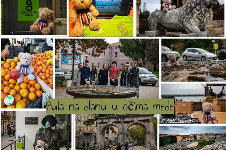 Projekt Gimanzije Pula