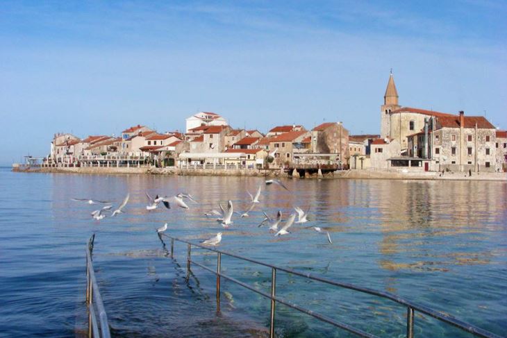 UMAG. stari grad panorama, povijesna jezgra, galebovi, galeb, snimila veljacxa 2011 Tanja KOCIJANCxICxx