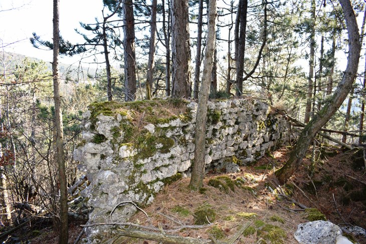 Dijelovi zatrpane gradine