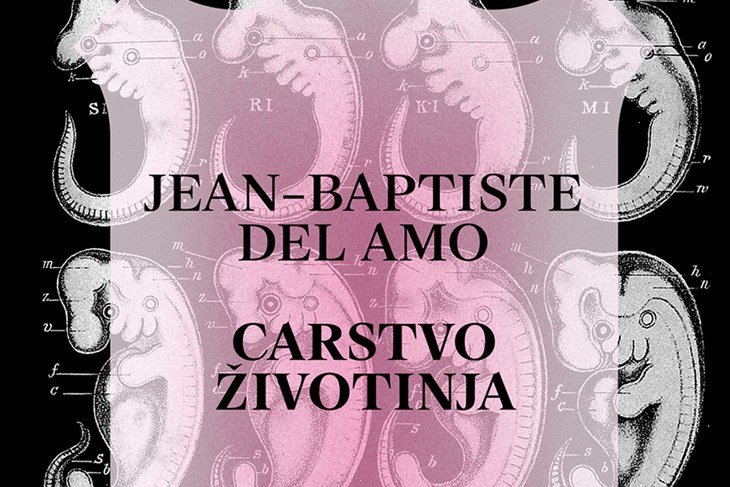 Carstvo životinja