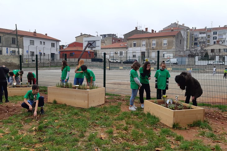 Medonosni vrt privući će pčele i pomoći prirodi