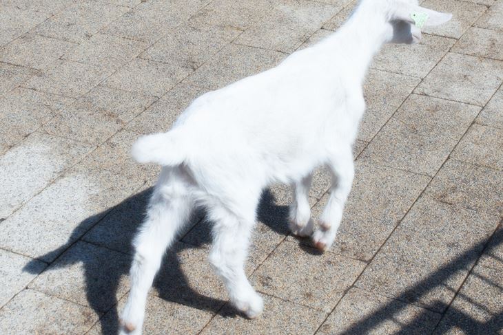 Jedna od fotografija s izložbe