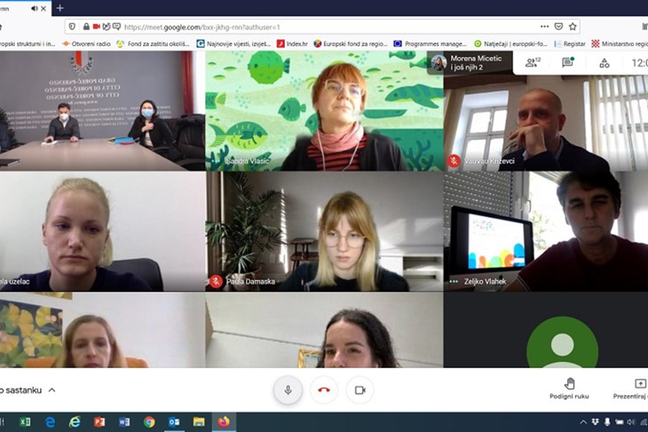 Video konferencija