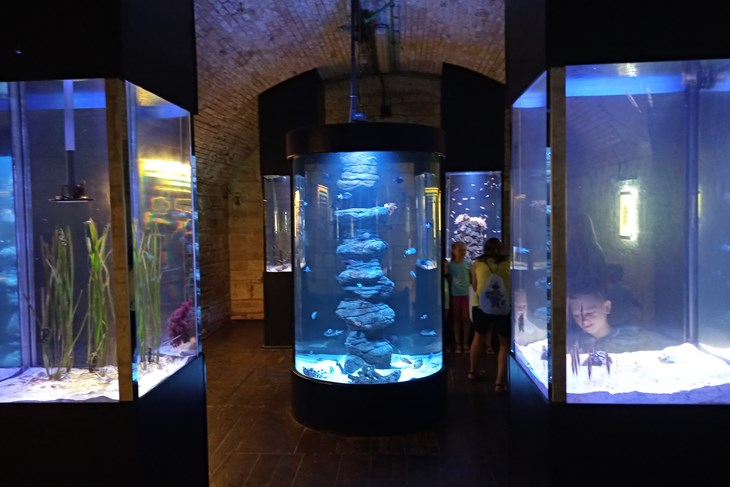 Aquarium Pula (snimila D. PALIBRK)