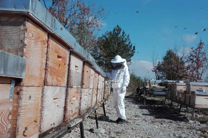 Udruga okuplja 37 pčelara (Foto Udruga pčelara Buzet)