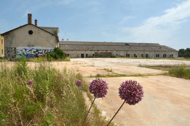 Otok Katarina (Snimio Danilo Memedović/Arhiva)