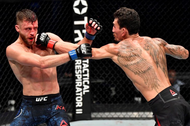 Calvin Kattar i Max Halloway