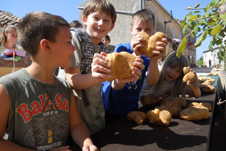 Gramperi (krumpiri) uzgojeni na ovom području nadaleko  su poznati po svojoj kvaliteti i nutritivnim karakteristikama (Snimila Kristina Flegar / Arhiva)