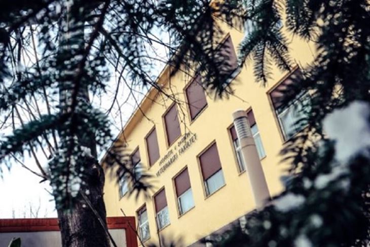 (Foto: vef.unizg.hr)