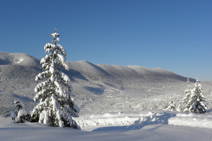 01-02-2010-SLO-Krasno-56-1.jpg 