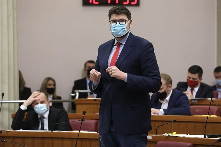 Peđa Grbin (CROPIX)