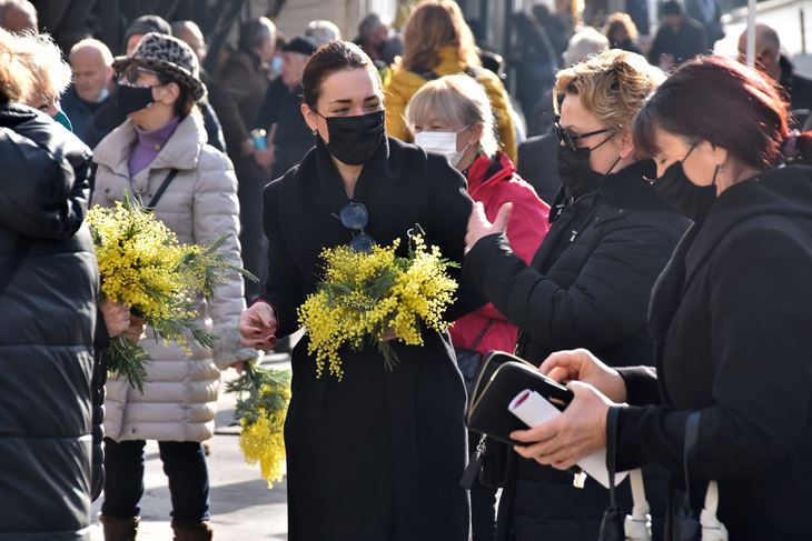 Agilne članice Lionsa kluba Pula jučer su na tržnici prodavale mimoze (Snimio Duško Marušić Čiči)