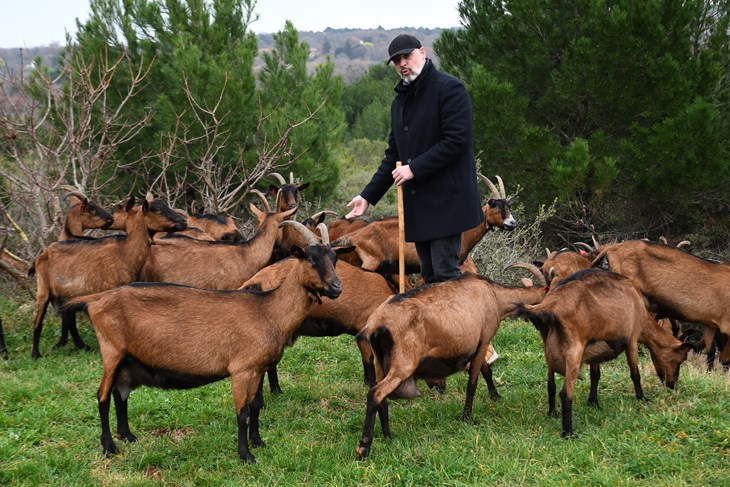 Robert Frank (Milivoj MIJOŠEK)