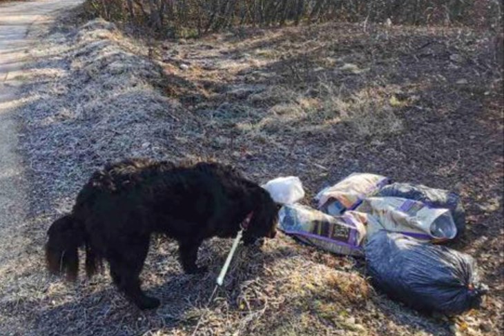 Smeće se bez srama iskrcava u šumu, odmah pored ceste